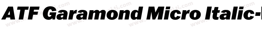 ATF Garamond Micro Italic字体转换